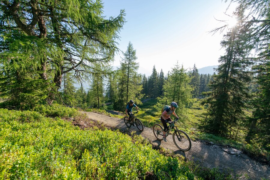 Zwei Mountainbiker fahren auf einem Waldweg im Sonnenschein