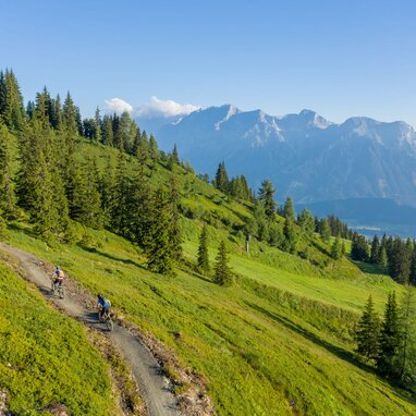 Cyclists ride along a mountain trail near a tower