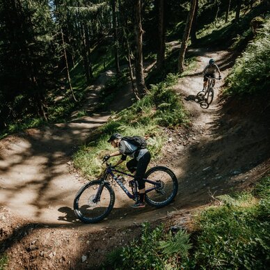 Two mountain bikers ride along a forest dirt trail.