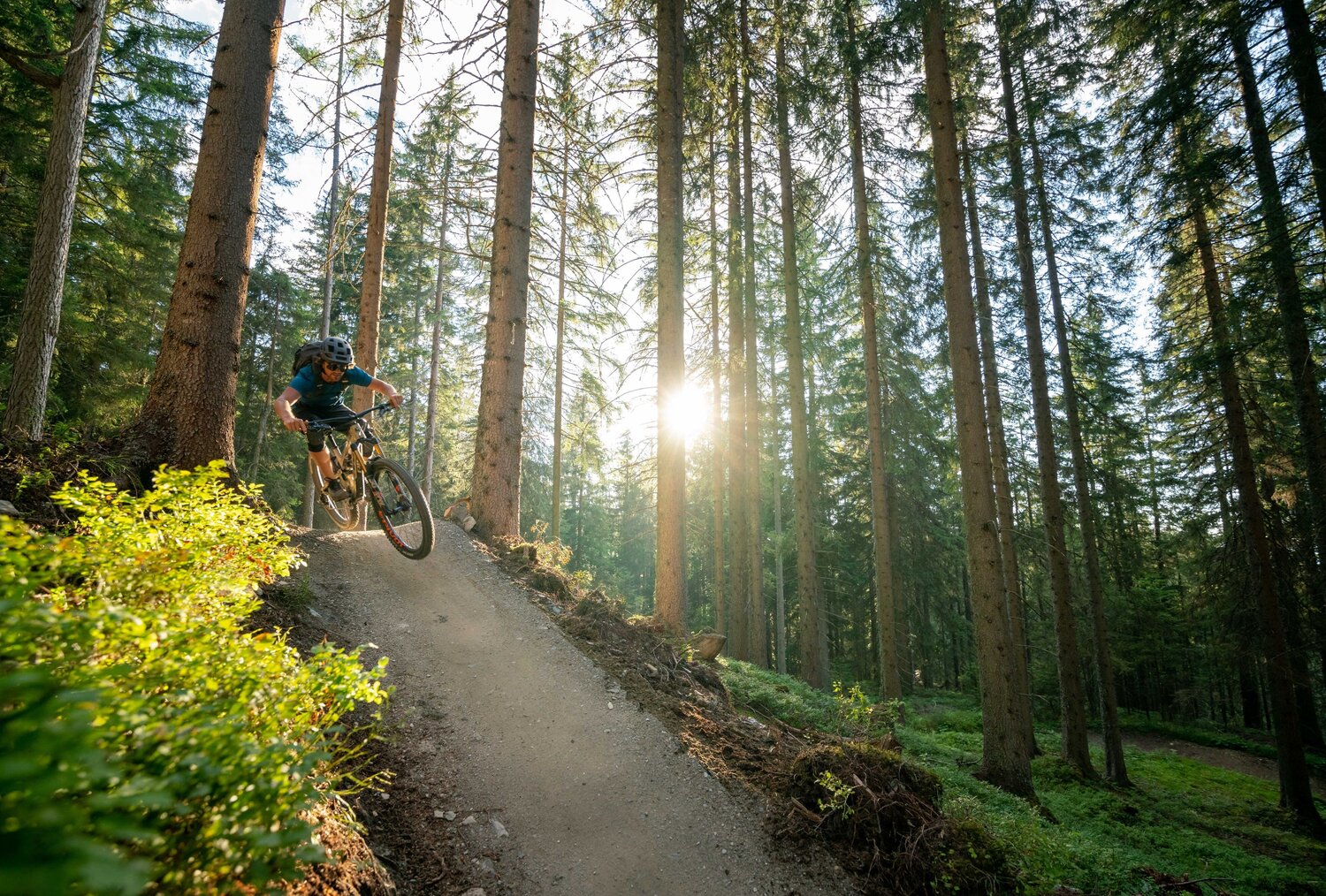 Mountain biker rides down a dirt forest trail