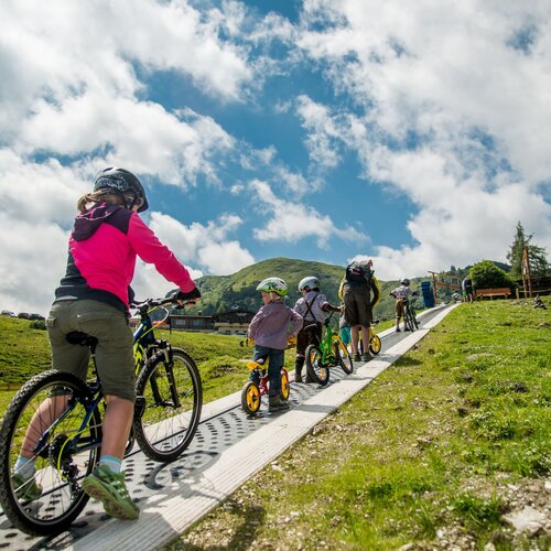 Children biking on a raised hillside path.