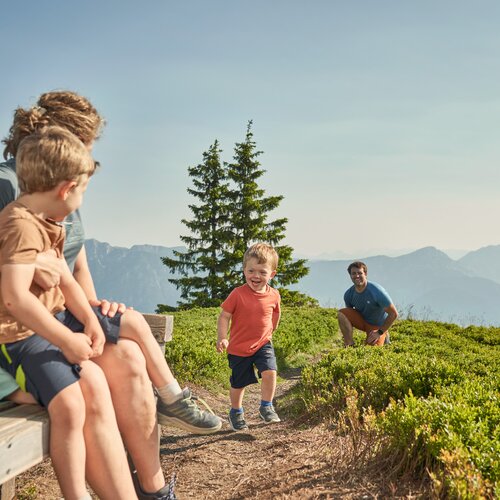 Family on hillside trail with mountains and evergreen trees | © Peter Burgstaller