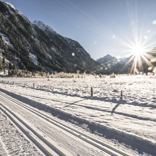 Snow-covered valley with ski tracks, trees, and sun. | © Gerhard Pilz