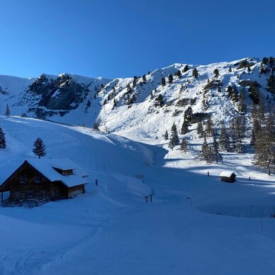 Schneebedeckte Alpenlandschaft mit Holzhütte und Bäumen