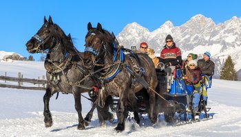 Pferdeschlittenfahrten im Obertal oder Ramsau am Dachstein | © Martin Huber