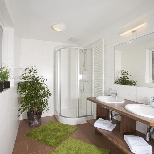 Bright modern bathroom with double sinks, shower, and plants