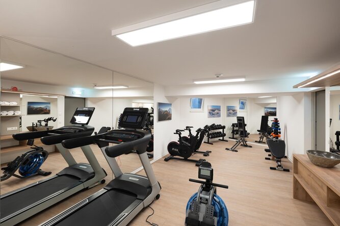 Cardio machines and free weights in gym