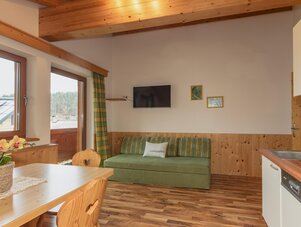 Living room with large windows, green sofa and Lieblingsplatz cushion.